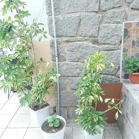 Kyshta Za Gosti Dari Rumi 1 Lägenhet *