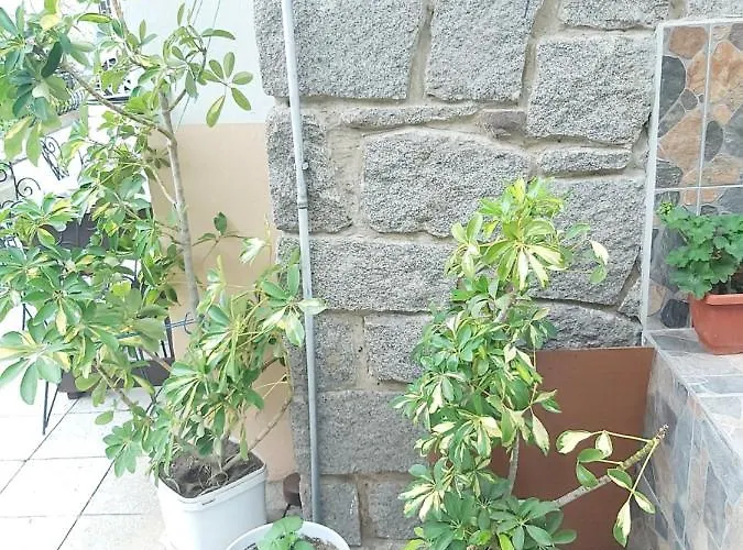 дари руми 1 Апартамент *