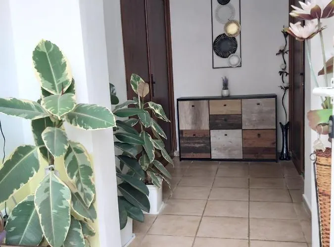 дари руми 1 *